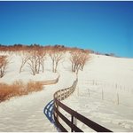 겨울 <b>여행지</b> 추천해주세요~
