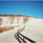 가족끼리 가는 겨울 <b>여행지</b> 뽑아봤습니다 :)