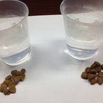 [강아지] 심심풀이로 <b>사료</b> 비교 실험 해봤어요!! 만들분들께 도움되길