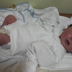 우리집<b>보물</b> 두돌맞이 추억공유