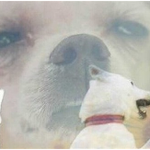 고백한 <b>첫날</b> 눈떠보니...①