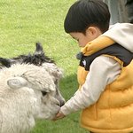 뉴질랜드에서 찍힌 민율이ㅋㅋㅋ