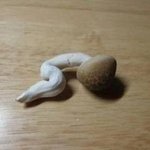 미치도록 <b>추운</b>날엔, 패딩이 있쟈냐~