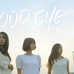 [오드아이] 미키 이음 <b>하율</b>