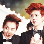 [EXO] <b>판정</b>화운동