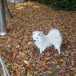 [영웅이] 영웅이 성장과정 3탄