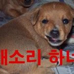 [비상대피소] <b>입맞춤</b>?