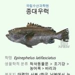 [비상대피소] 나웃겨죽겠엌ㅋㅋㅋㅋㅋㅋㅋㅋㅋㅋㅋㅋㅋㅋㅋㅋㅋㅋㅋㅋㅋㅋㅋ