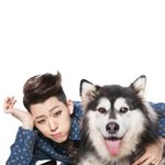 [블락비] 슈퍼독 올라온거없니??ㅠㅠ