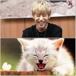 [BAP] 정대현 고냥이설 