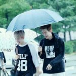 [엑소친목] <b>진정</b>한짤파뤼2