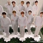 [비상대피소] 네이쳐<b>장난</b><b>침</b>?
