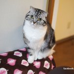 [유봉이네] <b>칭찬</b>합시다!!(유봉이네)