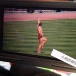 [비상대피소] <b>타오</b>짤줍해가