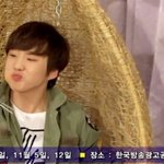 [위너] 다들 눈팅만하고