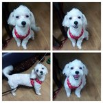 울 <b>쭈니</b>.. ㅎㅎ ^^