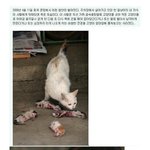 [우쭈쭈] 혐오]<b>동물</b>을 사랑합시다