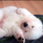 우리아들 <b>강산</b>이