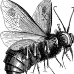 [초승달] 세계 7대 악마 그리고 7가지 죄악!