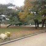 [exo] 엑소 백현오빠에게,,,,