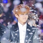 [exo] 재미있게 노는 엑소들