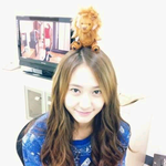 [여자아이돌] 아이유+수지+설리+클쓰+소녀시대성형증거