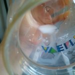 매일 앱솔루트 <b>ha</b>분유 이물질 처리결과!!!!