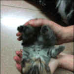 <b>화요일</b>이구나~