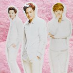 엑소 미니 <b>등신대</b>.jpg