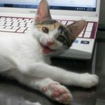 <b>pc</b>방알바생입니다