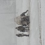 이게 차원이 다른 <b>제설</b> 클래스