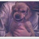 그녀의 추리력.<b>txt</b>