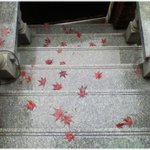 [사는얘기] (기억의 습작) * <b>멀리</b> 있는 친척보다 가까운 이웃...