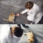 [비상대피소] 나도빠빠