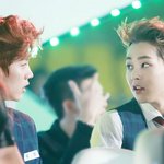 [비상대피소] 팬픽보고왓는데