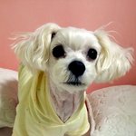 이쁘고 잘생긴게 죄다.........ㅠ