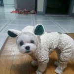 옷만입으면 <b>얼음</b>이되는 우리아가