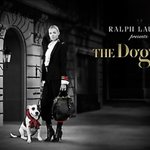 된장녀에서 된장견으로 확장?? _ 반려견 패션