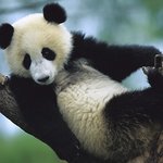 어제 겟잇뷰티 보신 분? 1위 제품 공개 들어갑니다. ㅋㅋ