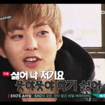 [EXO] 웅야웅야 시우민이 젤 <b>흥행</b>중 ㄷㄷㄷㄷㄷㄷㄷ