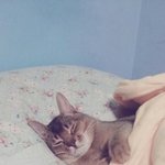 [BAP] <b>저</b> <b>밑</b>에 ㅇ은