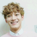 [EXO] 광대로 노래하는 공룡상 <b>낙타</b>
