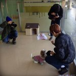 [비상대피소] 멍뭉이가 멍뭉이랑 <b>노네</b>