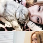 $미쓰에이 <b>지아</b>~ 귀가 후 고양이와 함께~~
