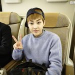 [시우민] 꽃누나 보는데 나도 <b>여행</b>가고싶다