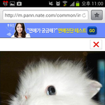 토끼 <b>동심</b>파괴