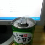 이물질이 ㅠ.ㅠ 너무 화가나내요....<b>롯데</b>칠성  제주감귤 .....