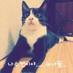 검<b>빵이</b>는남자였다..