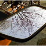 [사는얘기] (나에게 쓰는 편지) * <b>여백</b> *