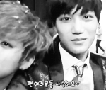 [EXO] 찬열짤이랑 카이짤을 찾습니다엉엉